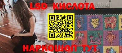 дмт Кимры