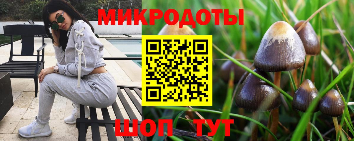 Галлюциногенные грибы ЛСД  Галлюциногенные грибы мухоморы  Кстово  Вход с VPN 