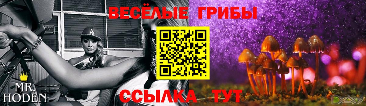 Амфетамин Кстово